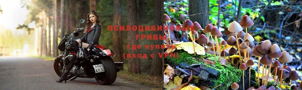 первитин Белоозёрский