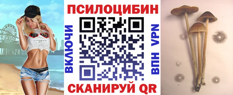 darknet состав  Солигалич  Галлюциногенные грибы MAGIC MUSHROOMS  цены  